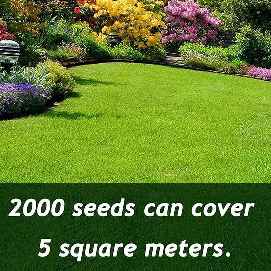Lawnova™ All-Season Grass Seed