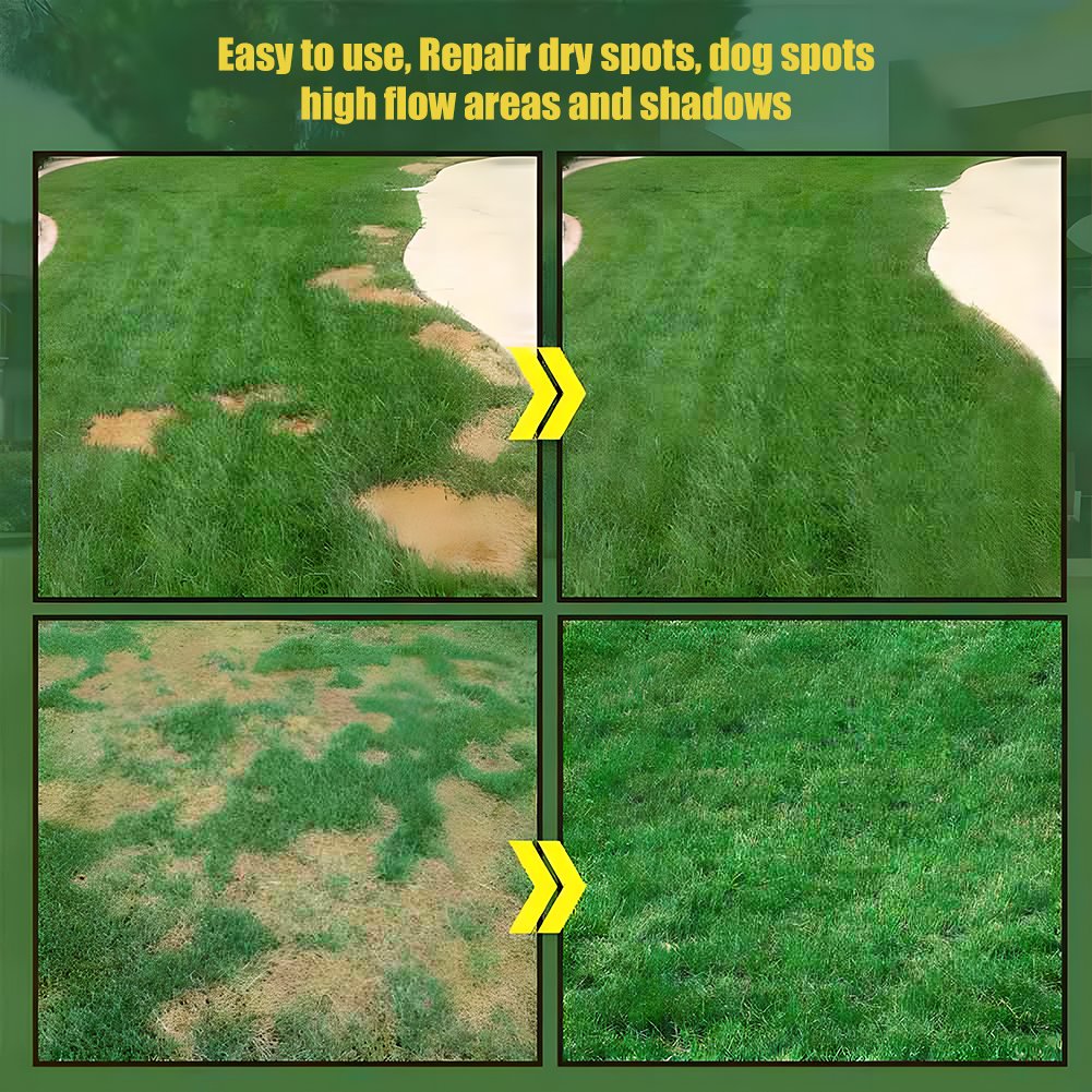 Lawnova™ All-Season Grass Seed