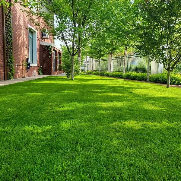 Lawnova™ All-Season Grass Seed